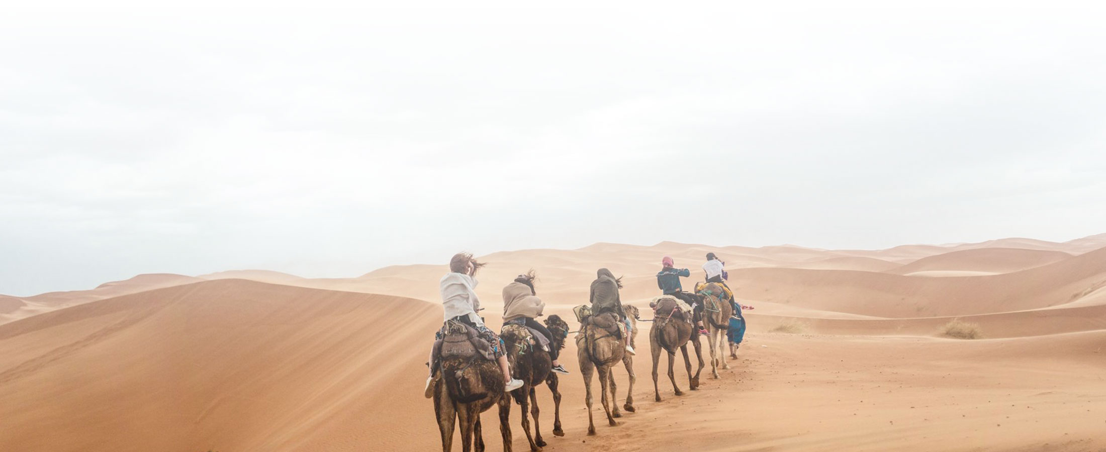 Travel link Morocco camel convoy