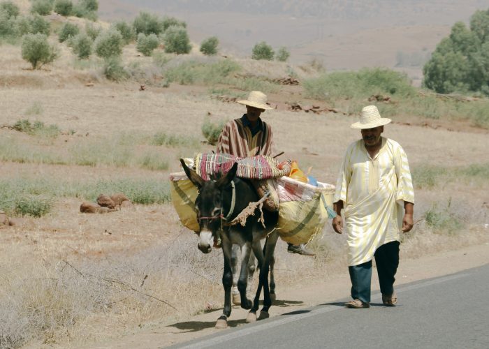 The Berbers of Morocco