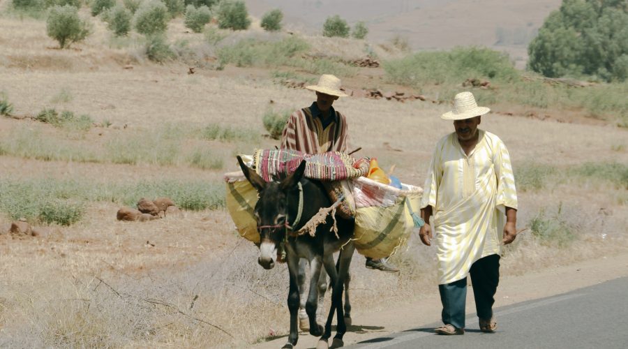 The Berbers of Morocco