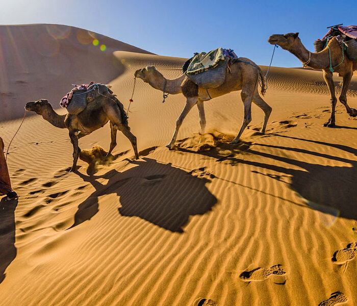 desert travel link morocco