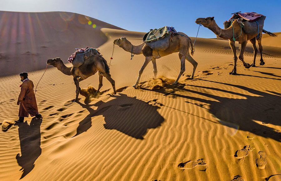 desert travel link morocco