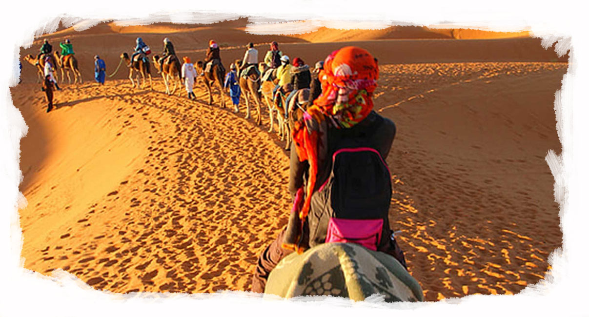 camel convoy travel link morocco