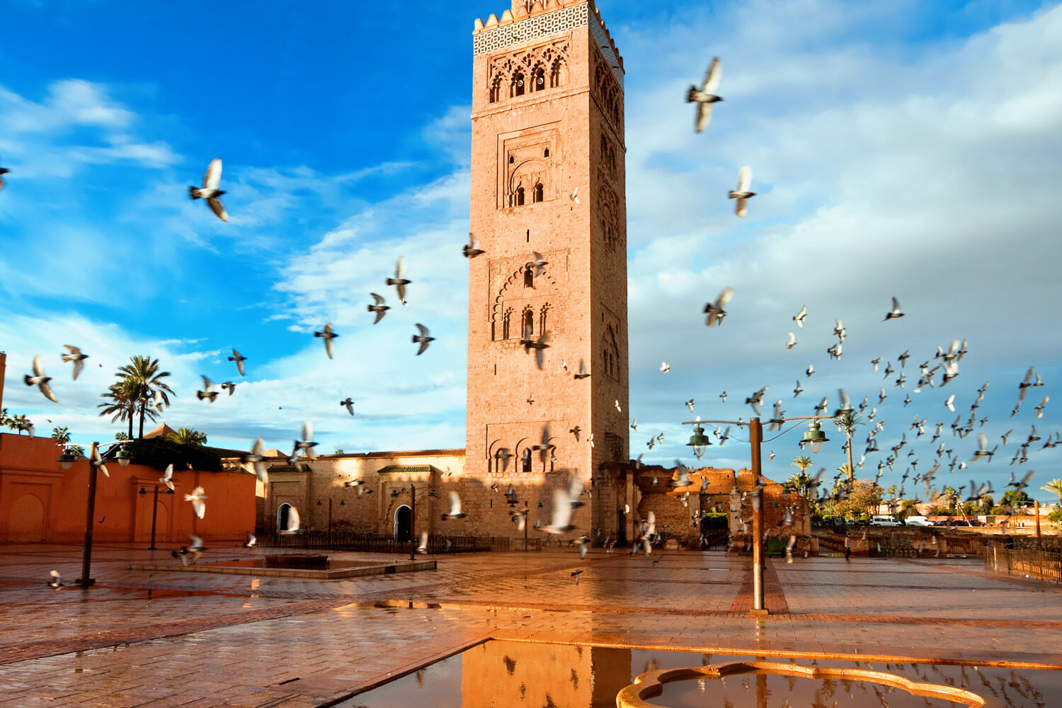 marrakech tour guide