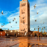 marrakech tour guide