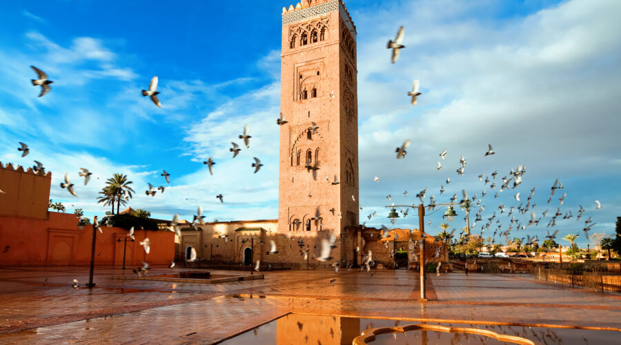 marrakech tour guide